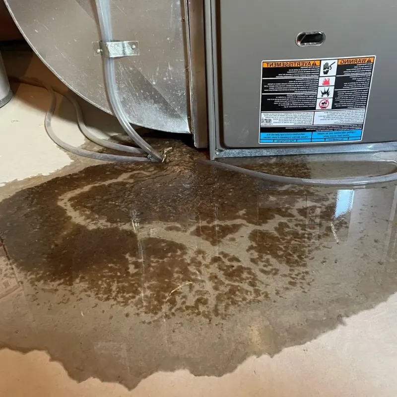 Pipe Burst and Leak Restoration in Pajonal, PR