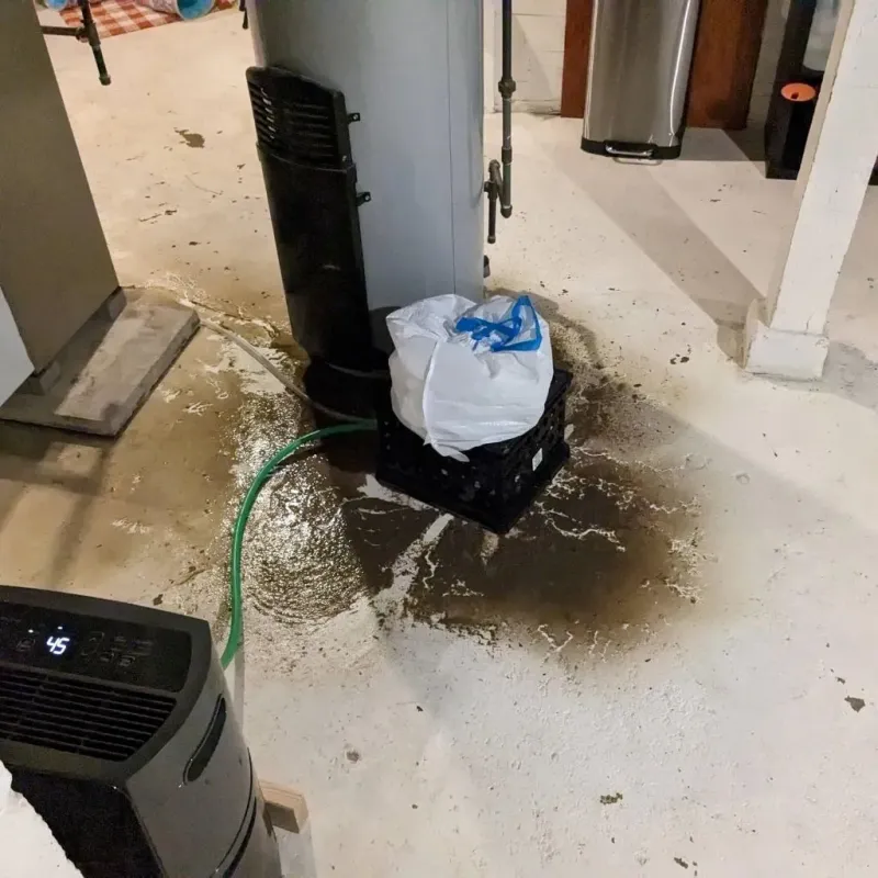 Sewage Backup Cleanup Service in Pajonal, PR